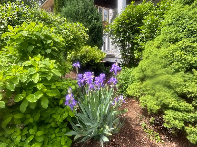 16 Sunset Rd #1 — Photo 3