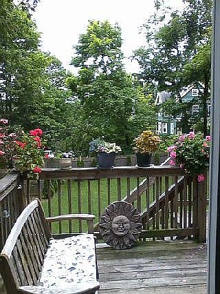 back deck, fenced in back yd