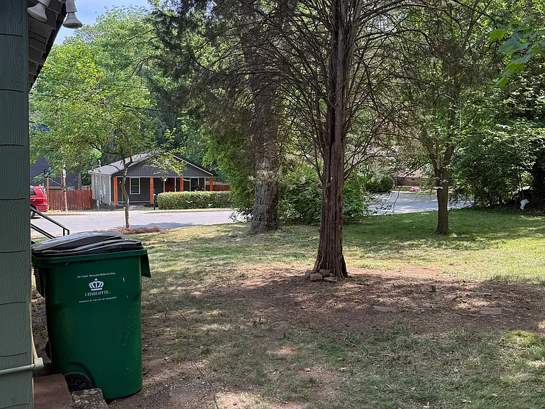 1101 Fern Ave — Photo 32