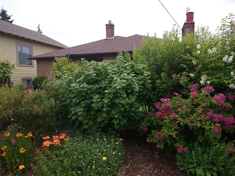 1st image of 8000 31st Ave NW