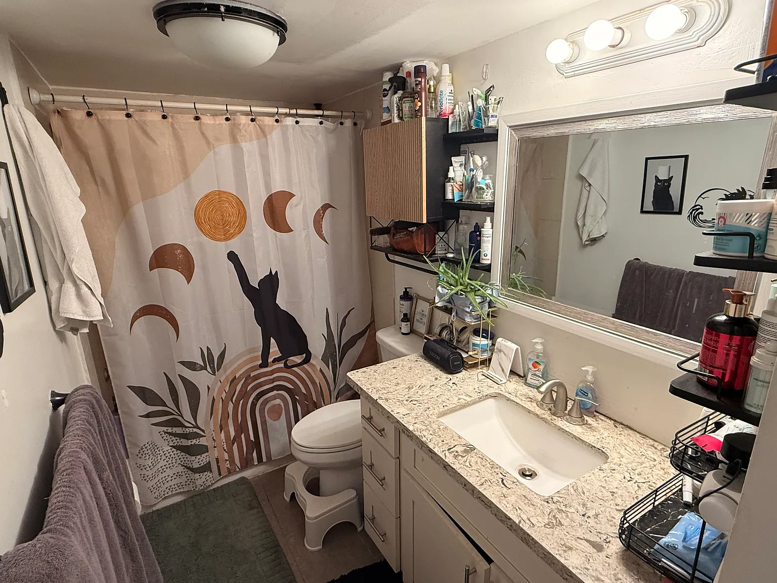 2 bed, 800 sqft, $1,375 — Photo 4