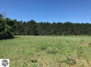 1164 South Ridge, Traverse City, MI 49696