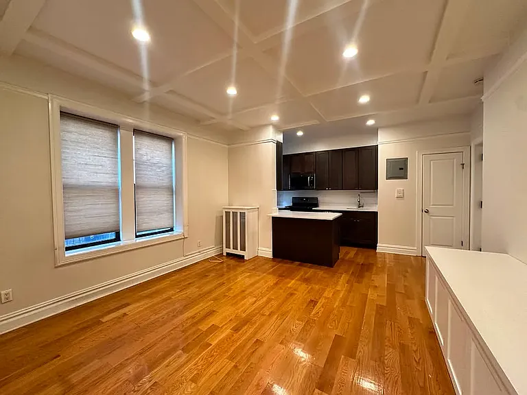 311 Lincoln Pl #4A — Photo 5