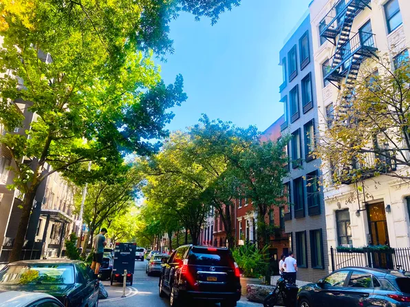 261 West 22nd Street image 7 of 17