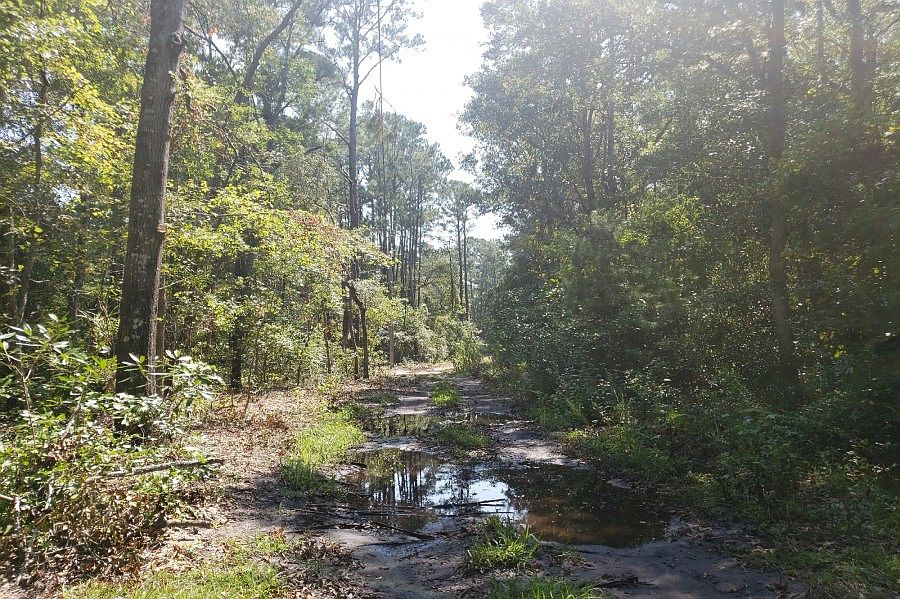 2nd image of 9 Ditch Digger Ln