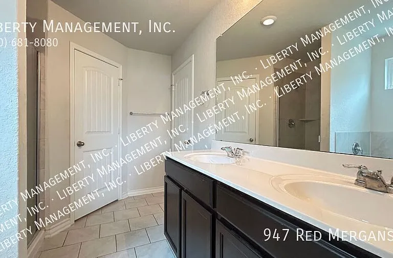 947 Red Merganser — Photo 29