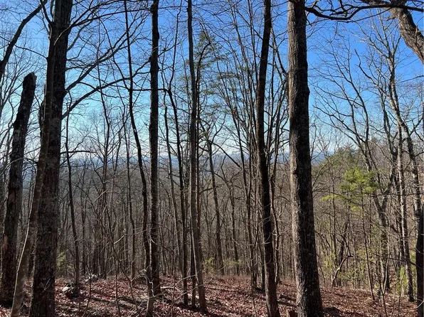 197 Stirratt Rd #197, Ranger, GA 30734