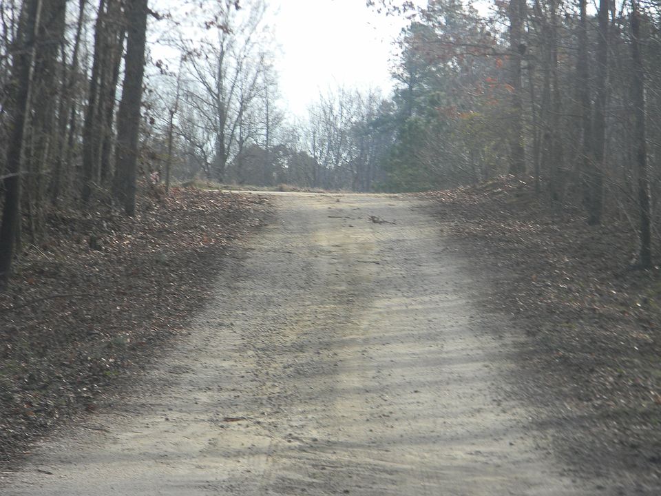 2nd image of 9281 Saralissa Ln