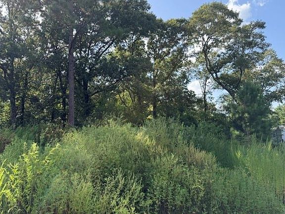 5th image of 15292 Celeste Rd Lot 5