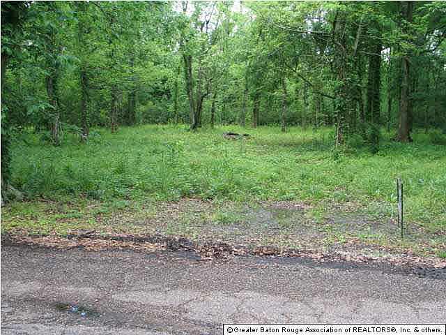 2nd image of Shadowlake Dr