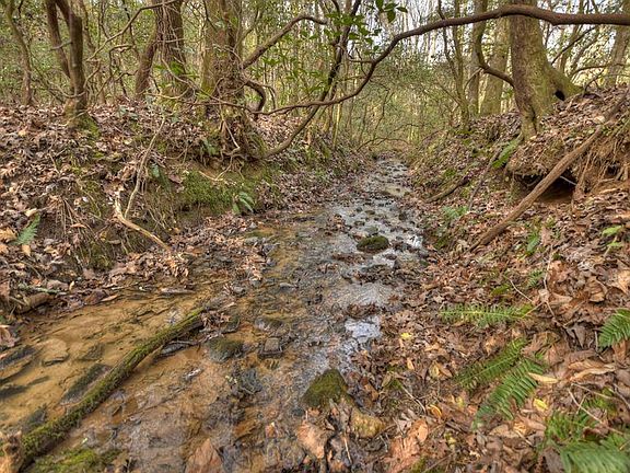 4th image of 1066 Dover Falls Trl