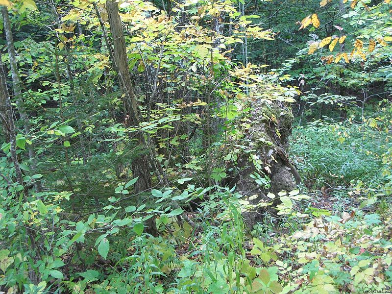 4th image of 00 BURTONVILLE Road