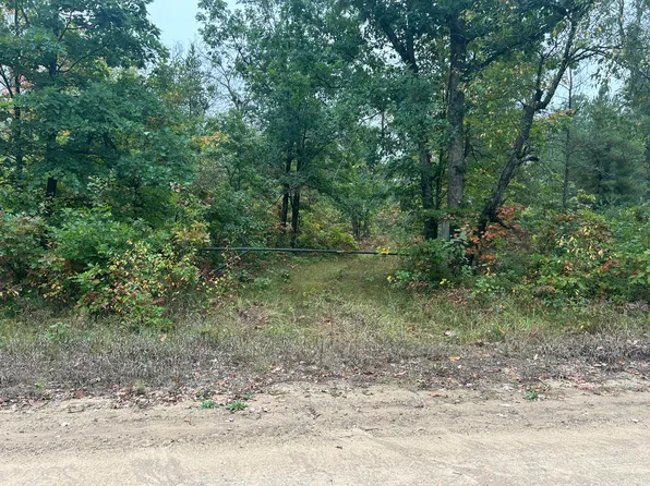 V/l S Broadway Rd, Baldwin, MI 49304