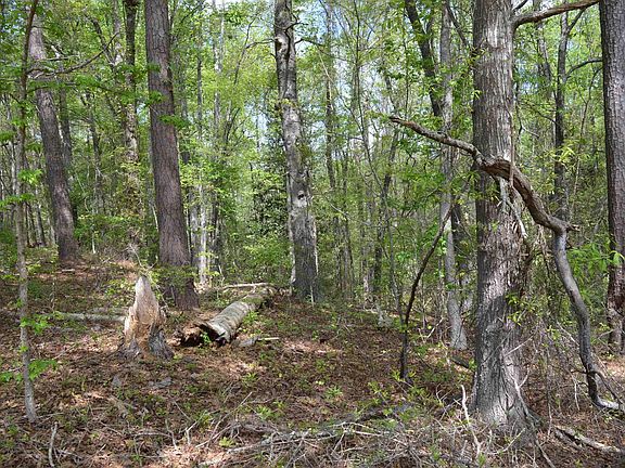 5th image of 2120 Tickle Hill Rd