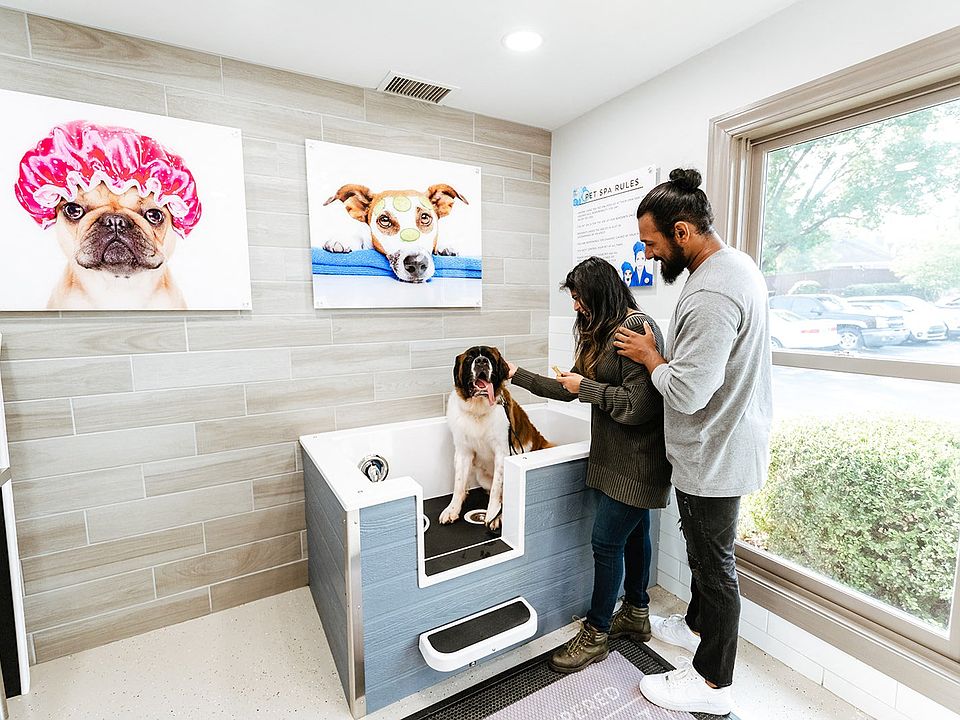 The Pampered Paw pet spa