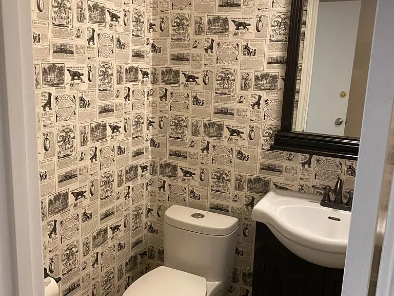 Downstairs half bathroom