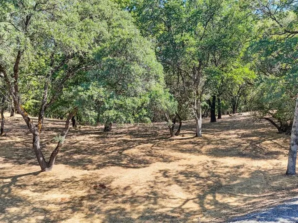 American River Trl, Cool, CA 95614