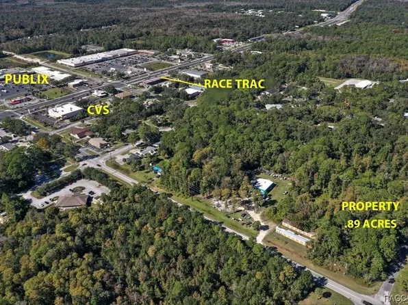 3953 S Illinois Ter, Homosassa, FL 34448