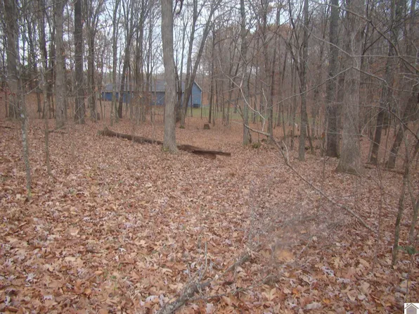 25 Timber Way Dr, Cadiz, KY 42211