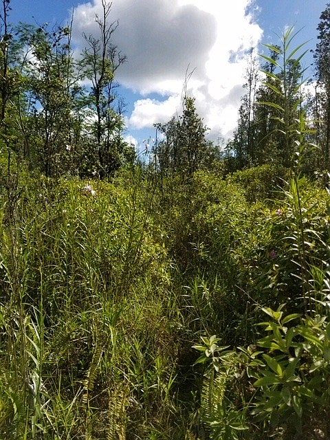 1st image of 16-1813 37th Ave Lot 42