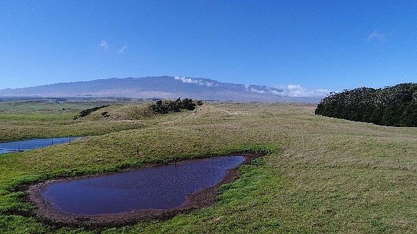 1st image of Old Mamalahoa Hwy