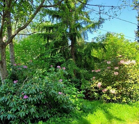 More lovely foliage greets you as you turn into the driveway!