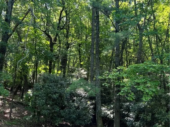 Lot 49 Country Club Road, Roaring Gap, NC 28668