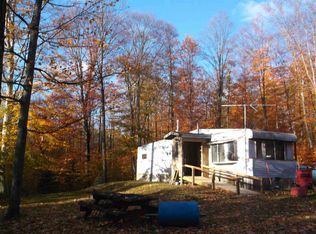 8040 N Turnerville Rd, Lake City, MI 49651