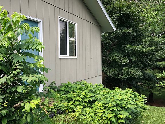Side View - Red Raspberries
