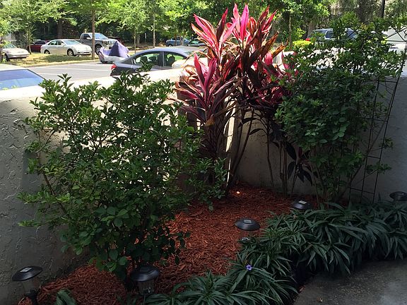 Front Garden