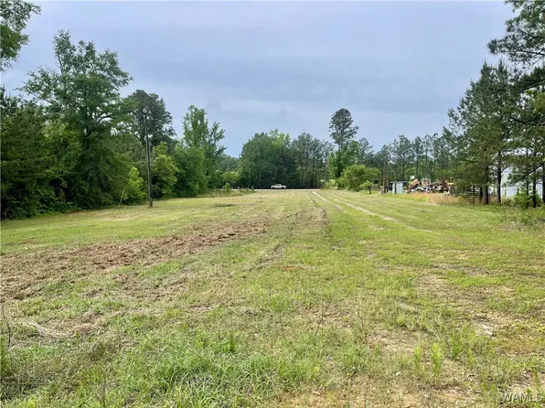 0 Haygood Chapel Rd, Berry, AL 35546