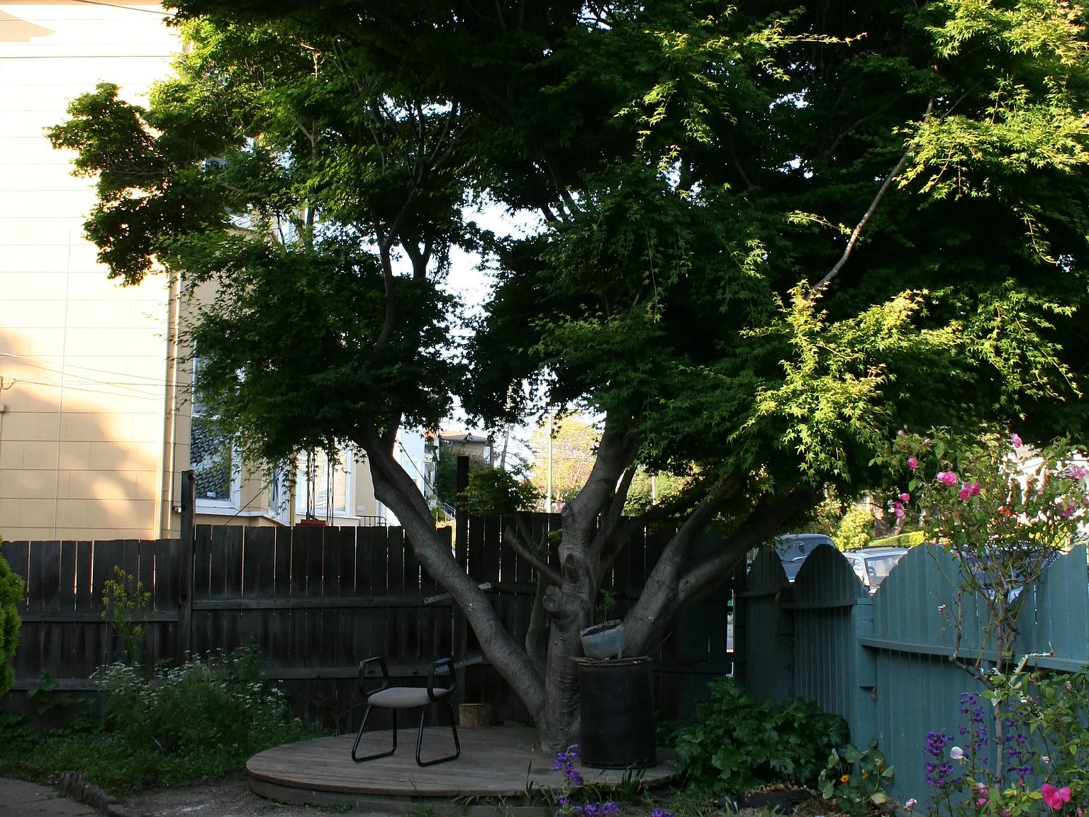2 bed, 750 sqft, $2,100 — Photo 2