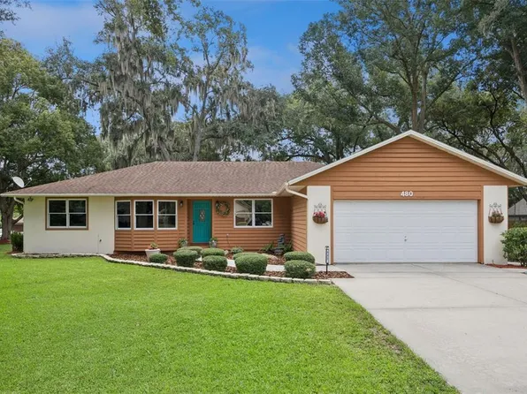 480 LAKE FOREST CIRCLE, MOUNT DORA, FL 32757