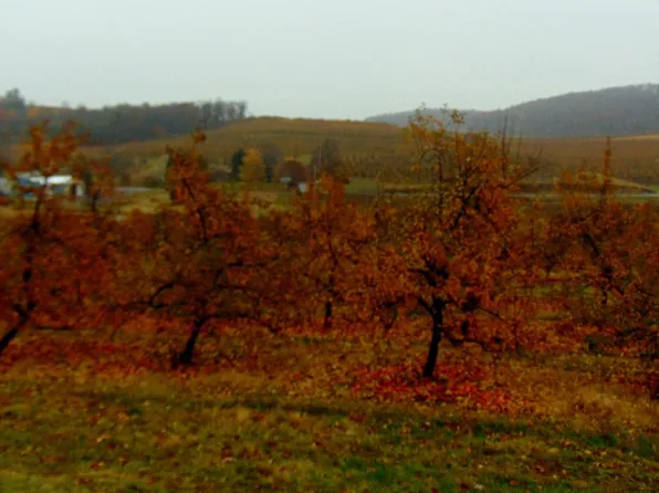 630 Mount Tabor Rd, Aspers, PA 17304