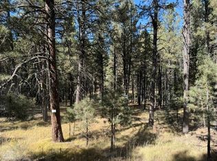 LOT 864 Conchas Dr, Angel Fire, NM 87710