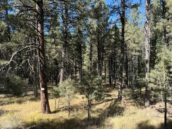 LOT 864 Conchas Dr, Angel Fire, NM 87710