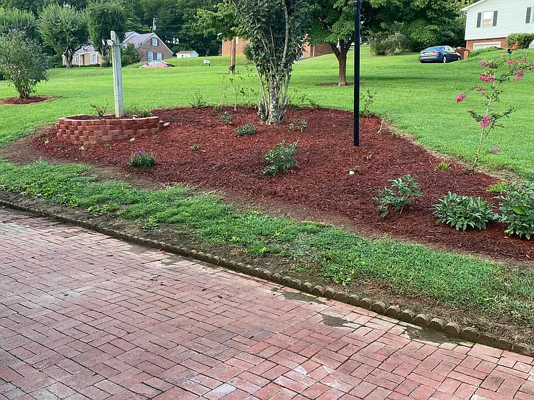 Patio and back yard