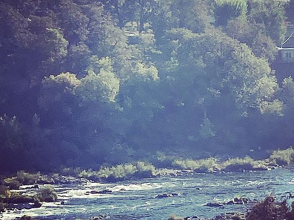Back of our river frontage
