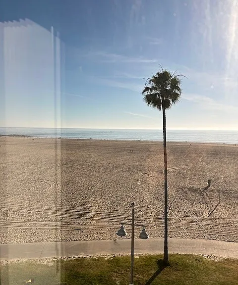 Beach House Apartments — Photo 13