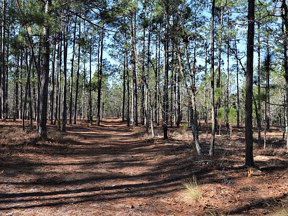 2nd image of Lot 32,33 E Bear Branch Drive LOT 32,33