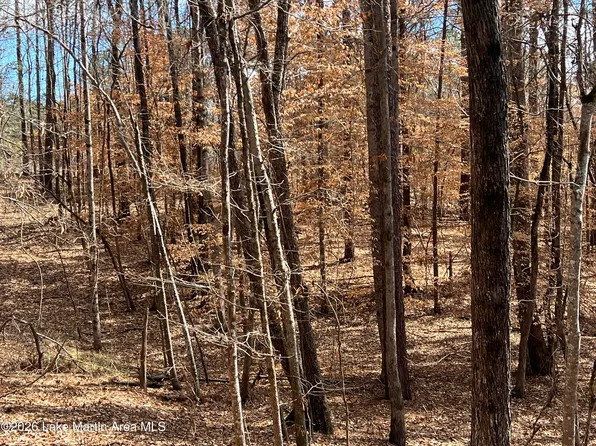 1 Knollwood, Dadeville, AL 36853