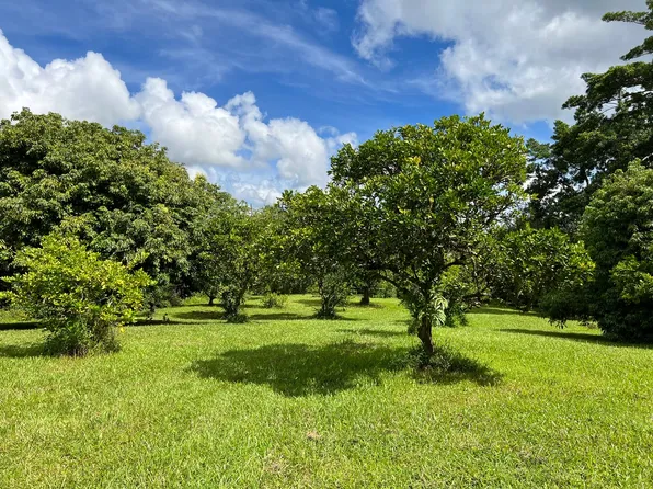 16-309 Melekule St Lot 26, Kurtistown, HI 96760