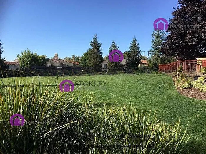2103 Maidenhair Way — Photo 15