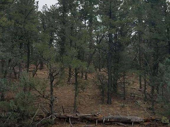 2nd image of 645 Kirk Dr