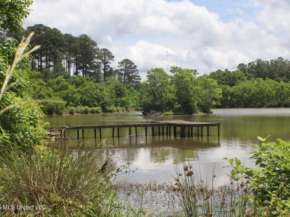 Vine Dr, Brandon, MS 39047