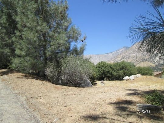 3rd image of Pine Dr