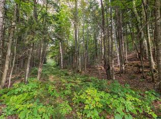 140 Tamarack Rd, Lake Pleasant, NY 12108