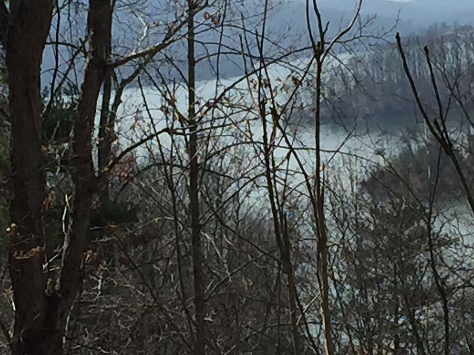 2nd image of 674 Cove Ridge Rd