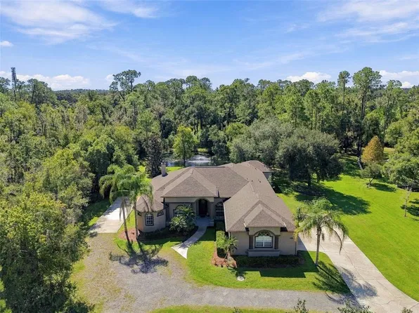 13887 GAVIN ROAD, DOVER, FL 33527