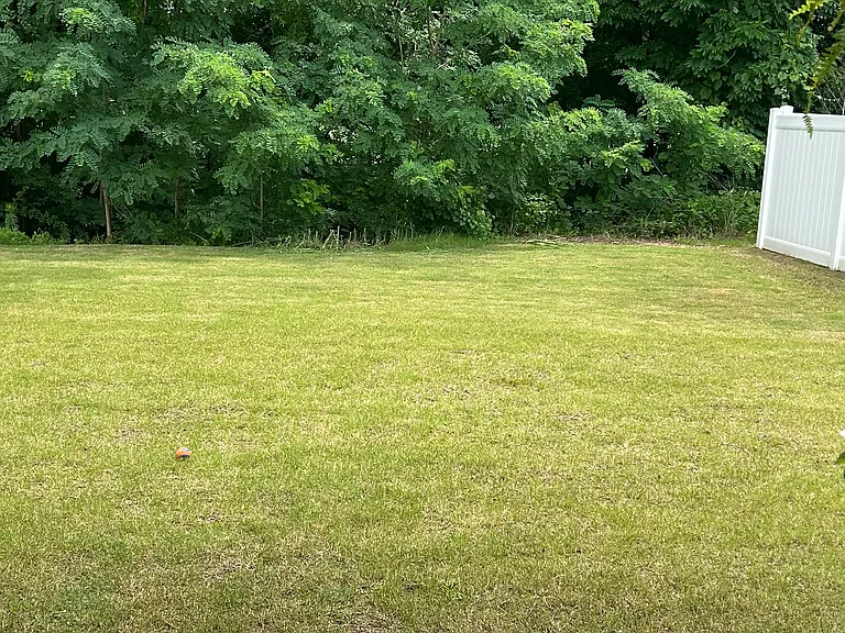 12 Kingston Creek Dr — Photo 11